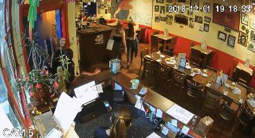 新西兰女孩被杀原因,2010新西兰女留学生被杀