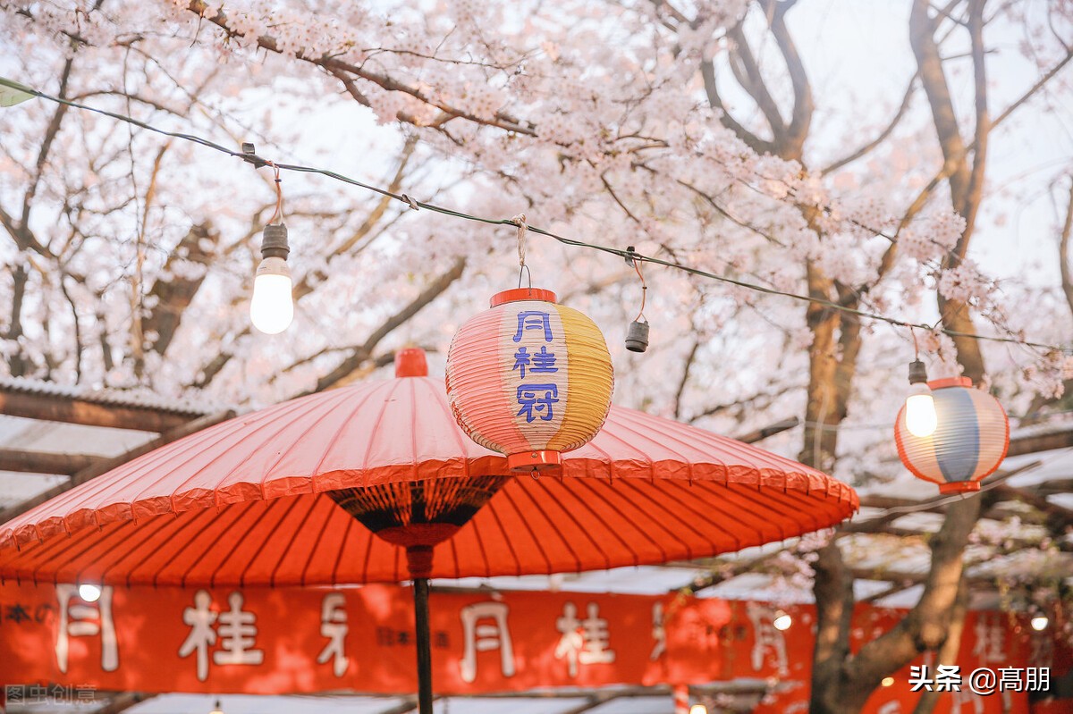 渡边淳一化妆的经典摘录,化妆渡边淳一