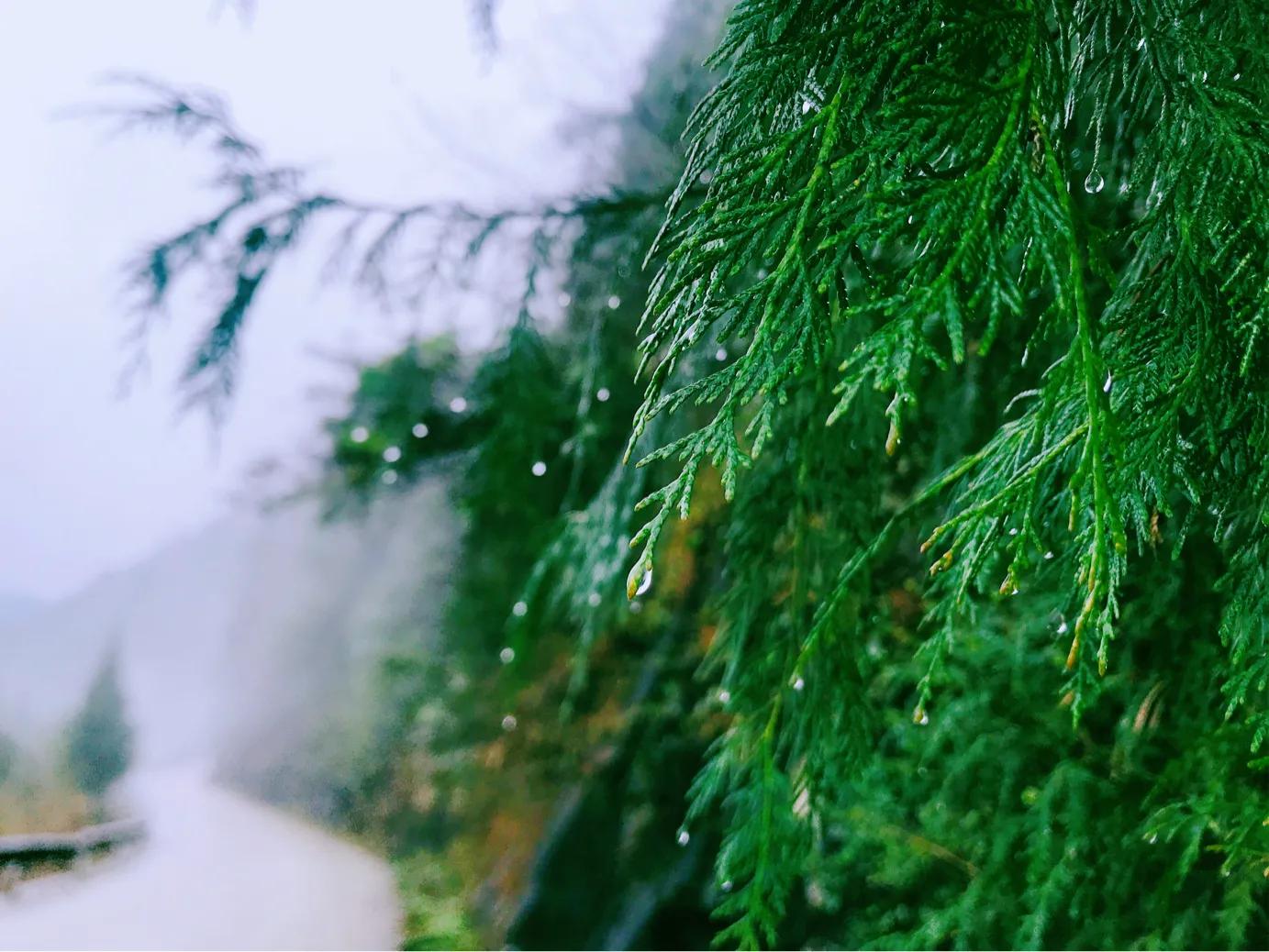 为啥有的人没钱却到处旅游,有没有因为没钱而没出去旅游