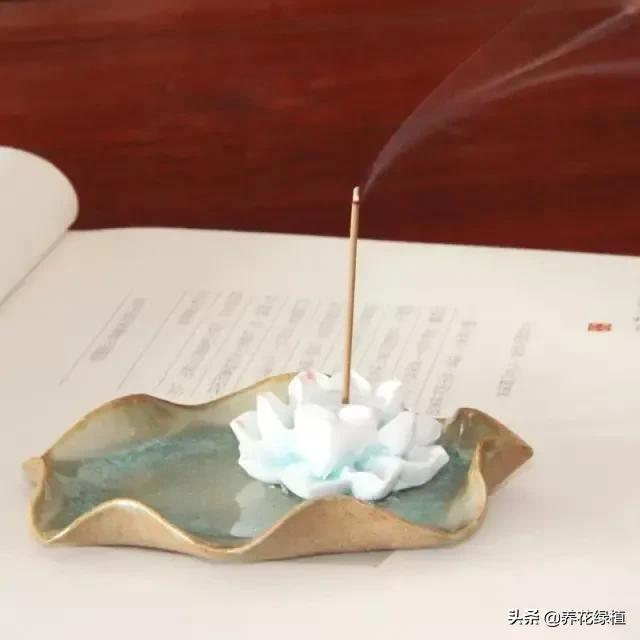 二月二龙抬头的来历与习俗,二月二龙抬头传统习俗来历