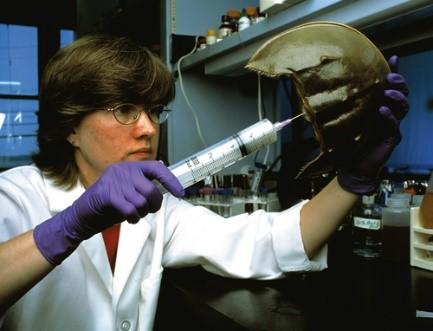 世界上哪种动物的血最贵,世界上最值钱的动物血