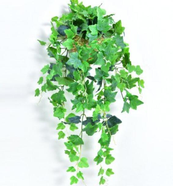 适合阳台养的32种花草,楼房里必养的8种花草