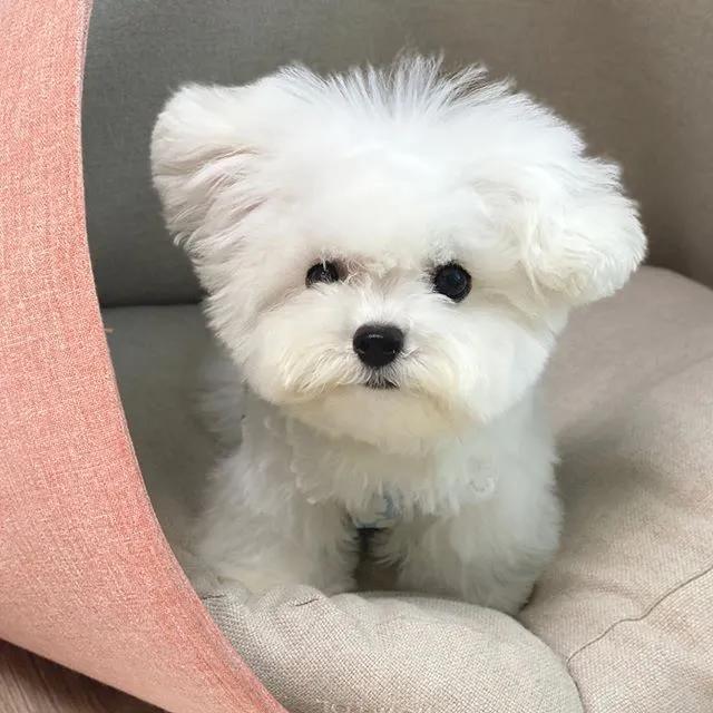 拿什么方式减压,有什么最好的减压方法