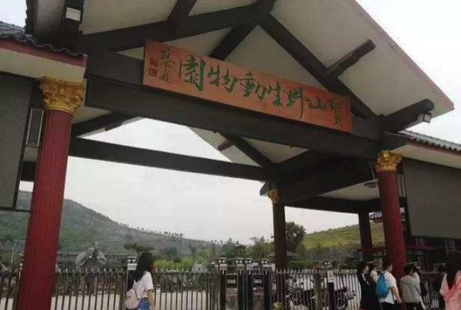 临沂兰陵有什么特色美食,山东临沂兰陵美食