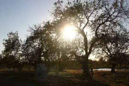 北京这38个森林公园您先收藏了!定个小目标,有空儿玩个遍!