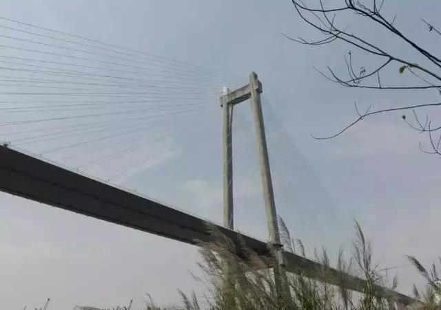 广州的这8个小岛，人少又免费，适合大小情侣的去处