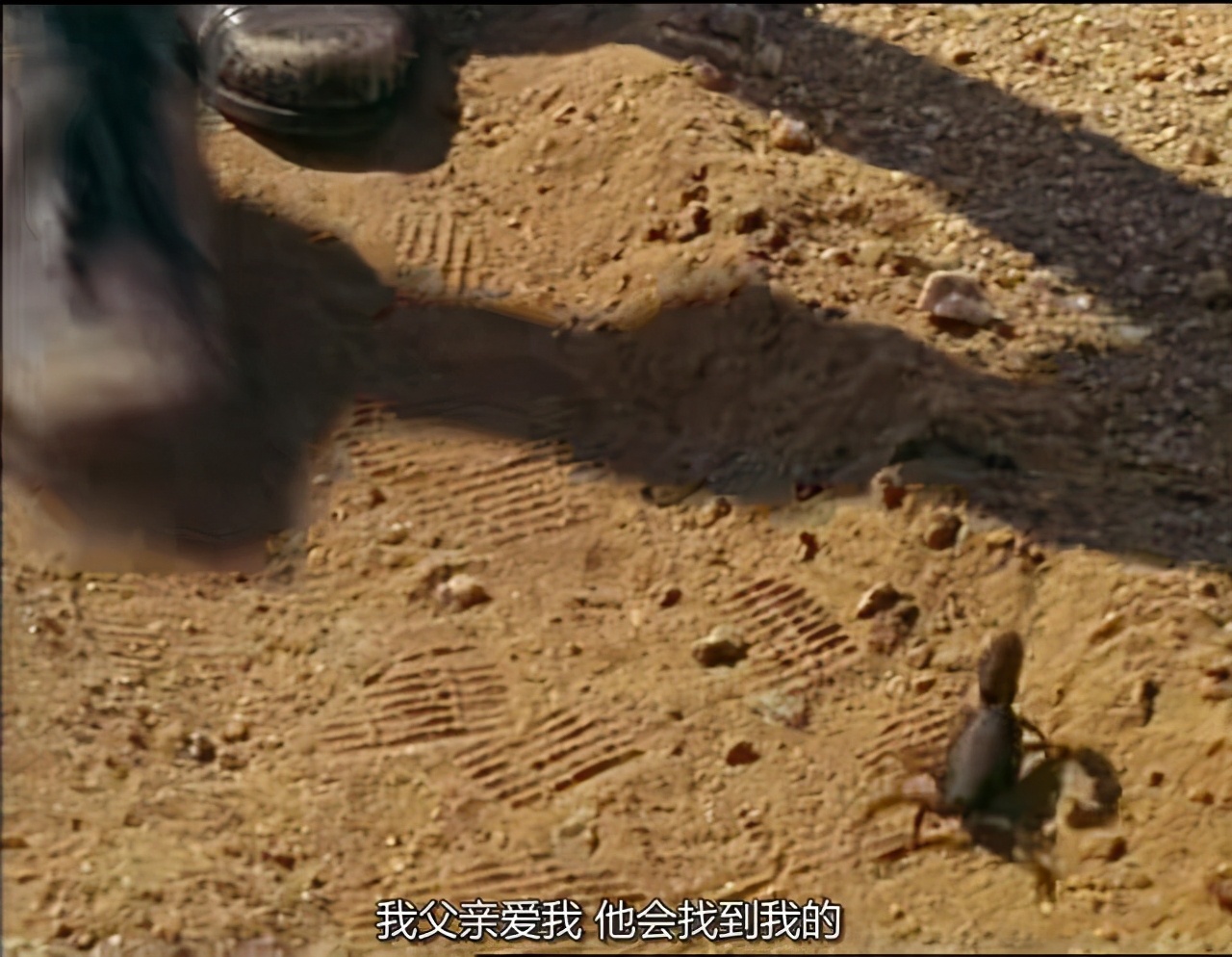 蛇咬蝎追，八岁男童如何在沙漠里生存三周？