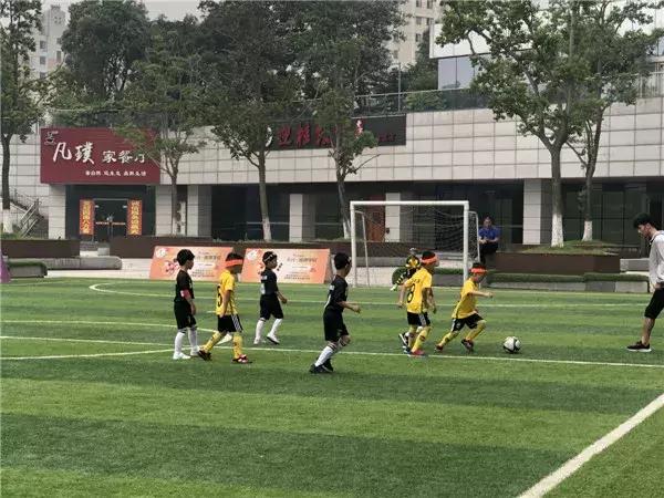 飞扬足球,飞扬足球预测