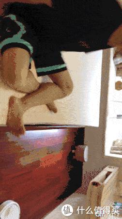 马来西亚乳胶值得买吗,马来西亚乳胶