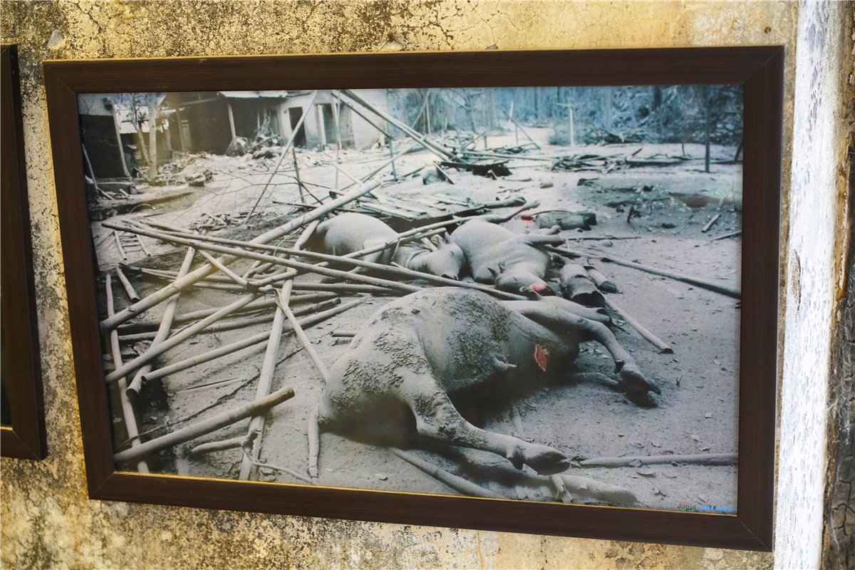 印度尼西亚的历史与文化,印度尼西亚文化体验