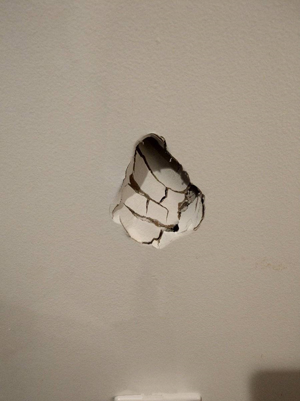 tl击败tsm,tl和tsm半决赛