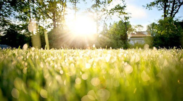 小说同桌恋人,同桌的爱恋小说