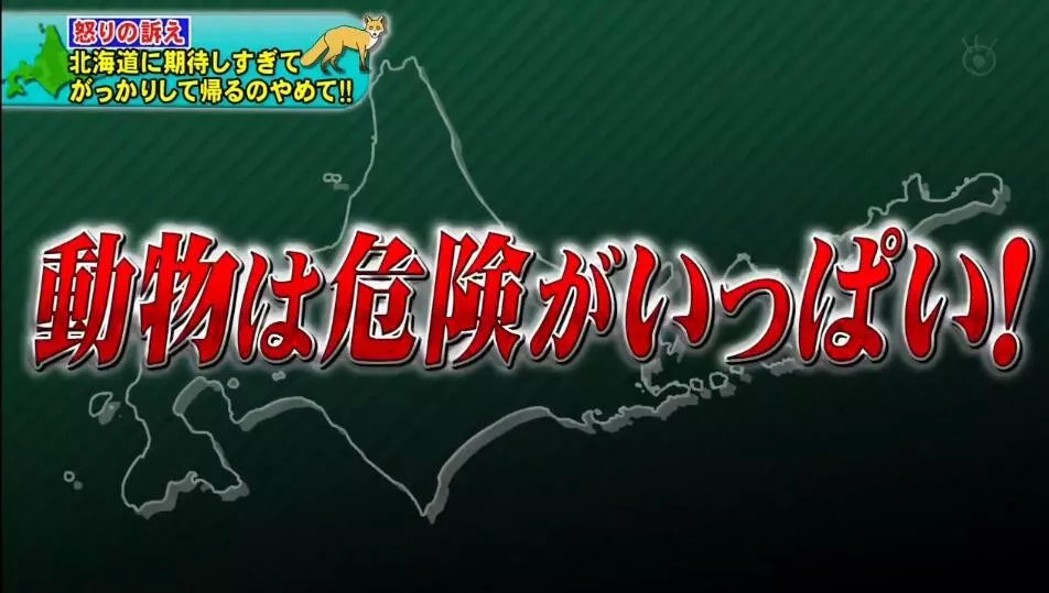 北海道民：求求你们了解下真正的北海道再做攻略，好不好？