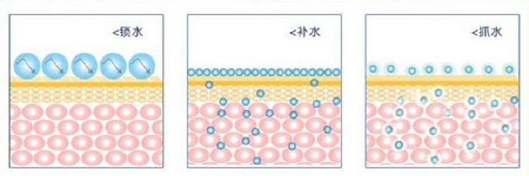 白富美就得靠补水!只知道敷面膜可不一定能得到好的效果