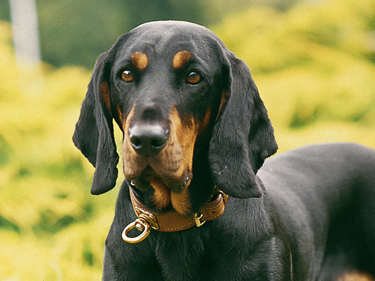 如何打发空虚寂寞的时间,怎样打发枯燥无聊的时间