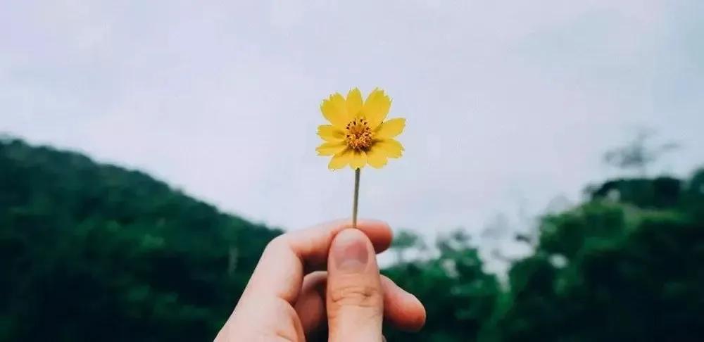 试管取卵11次，移植7次，终于如愿以偿成为妈妈