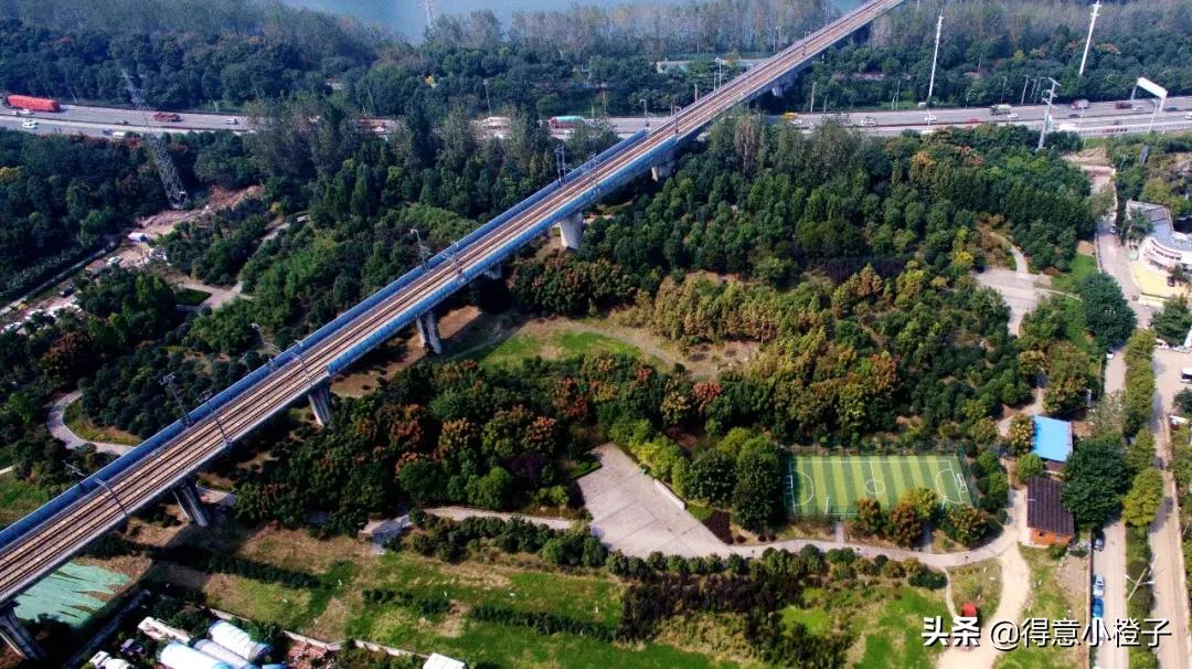 口袋公园有多少个,口袋公园一般多大面积