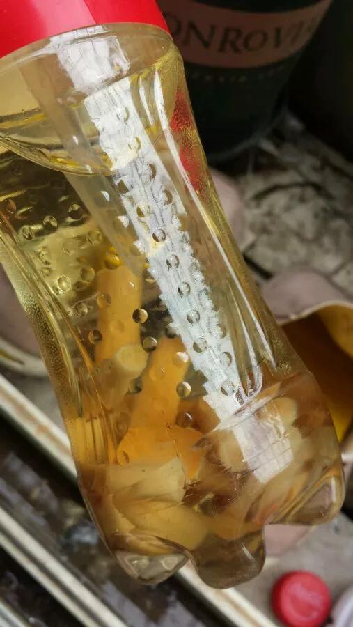 养花土如何杀菌除虫,月季生虫自制杀虫水