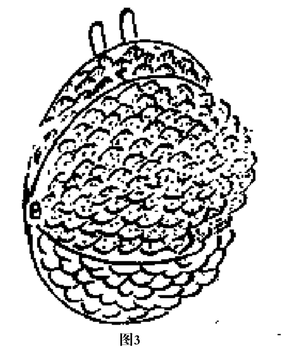 男子变魔术把妻子弄粉碎,大型魔术男人变女人揭秘