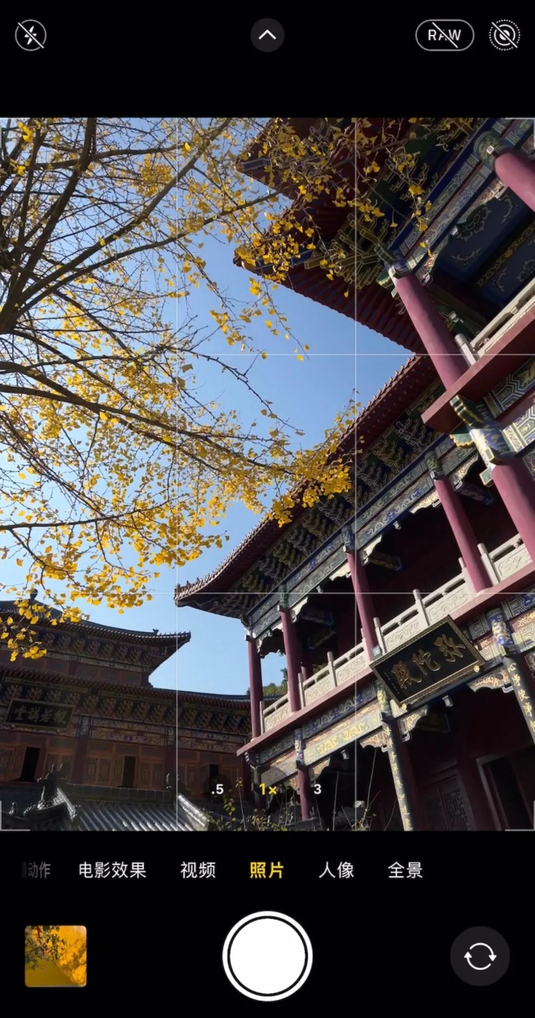 新手必看最新iphone相机教程,iphone自带相机拍摄技巧