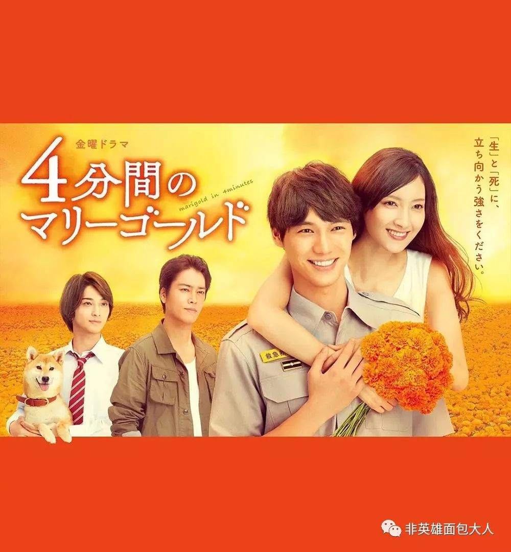 夏日必看日剧有哪些好看的,最值得一看的日剧