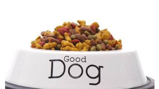 猫咪能吃哪些维生素,猫咪能吃太多营养补充剂吗