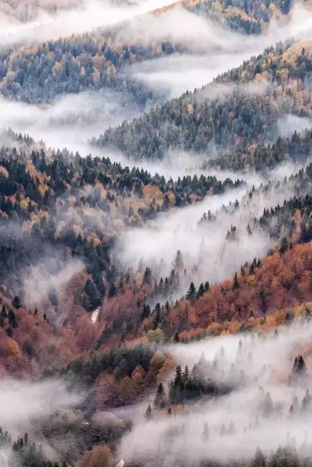 这才是正确的打开方式视频素材,手机的长焦镜头怎么打开