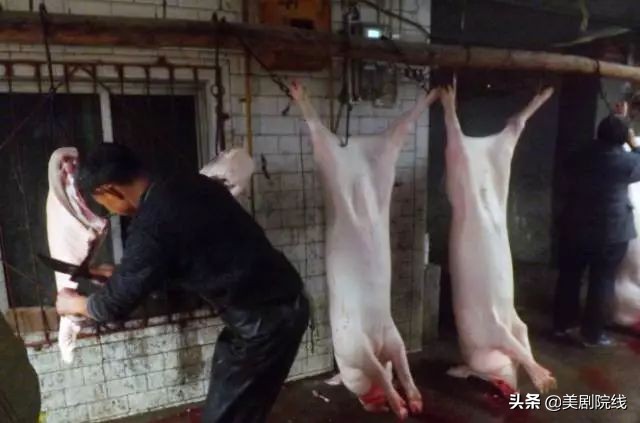 一部至今无法超越的科幻片,四部最伟大的科幻片你看过几部