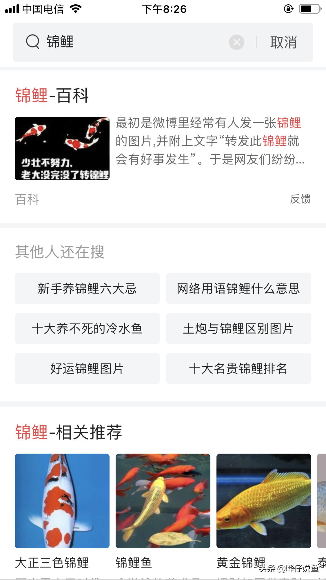 养锦鲤是五条好还是六条好,锦鲤的三要和三不要