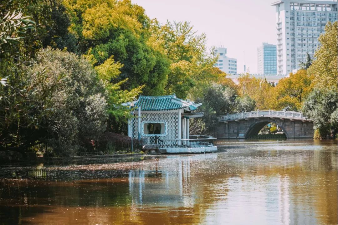 苏轼1987岁的生日,苏轼985岁生日图片