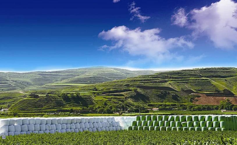 兰州大学入选院士全国排名,兰州大学院士学科