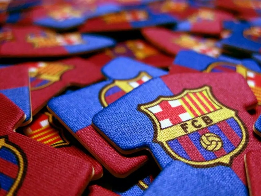 巴萨铁血队队长普约尔,巴萨队徽图片原图