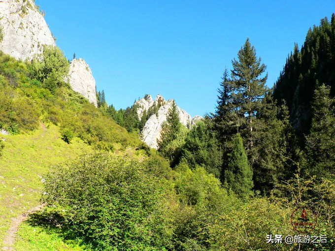 则岔石林风景区值得去吗,碌曲到则岔石林的路好走不
