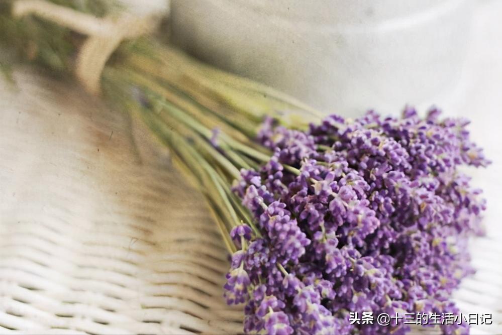 520大部分都送什么样的花束,520花束内容不表达爱意