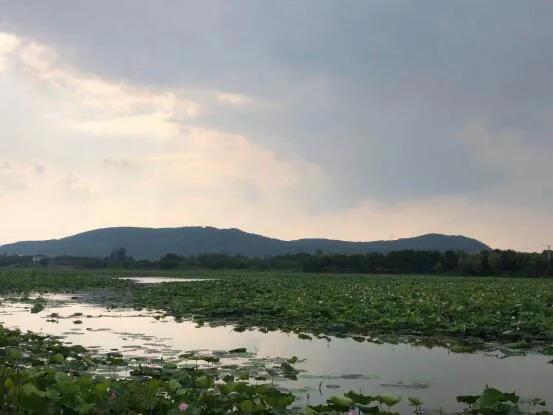 长文高清组图：武汉山湖岛居别墅楼盘-玉金山墅测评（上）