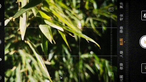 手机拍照下边的三个键在哪里设置,手机拍照的三个按键