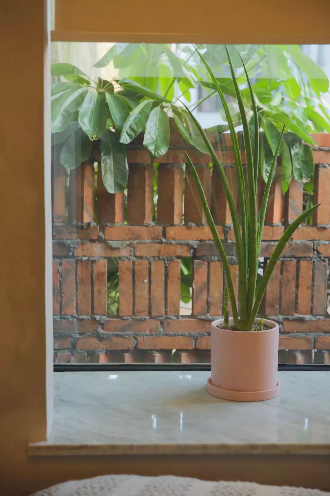 这对丁克小夫妻不懂设计，却靠热爱，设计出了厦门最美民宿