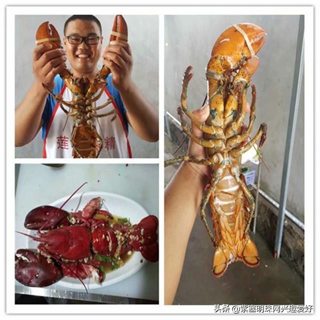 日照旭日家园渔家乐是在吴家台吗,日照吴家台旭日家园渔家乐