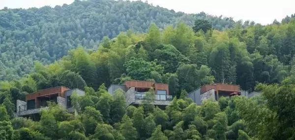 遗世独立的隐居酒店，大自然的馈赠——宁海安岚酒店