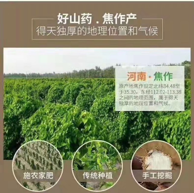 铁棒跟铁棍山药的区别,铁棍山药真的假的