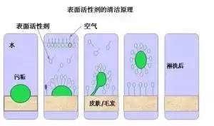 化妆品各种成分的作用,化妆品有害成分一览表