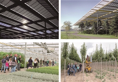 盘锦郊野公园设计图片,盘锦郊野公园图片