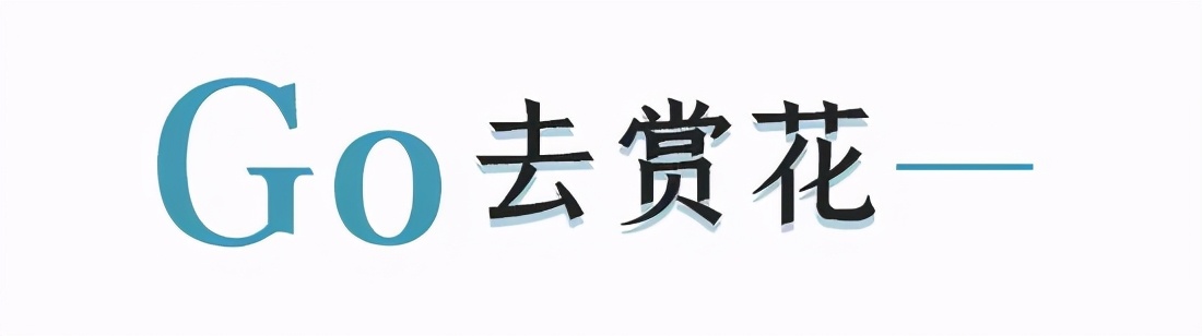 昆明亲子游自驾游攻略推荐路线,昆明周末亲子游十大好去处