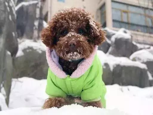 冬天化妆品冻碎,化妆品冻坏了怎么补救