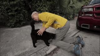 吸猫最高境界图片,吸猫最高境界完整视频