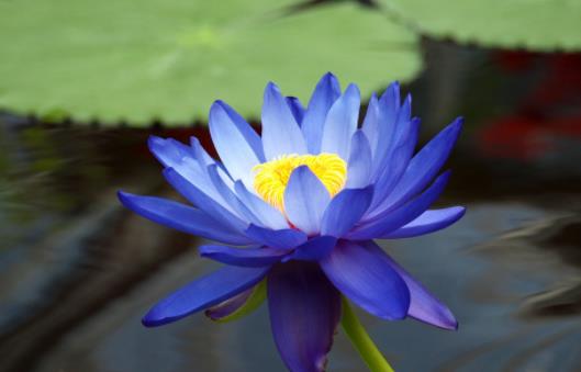 真正厉害的人懂得未雨绸缪,真正厉害的人是懂得隐忍的人