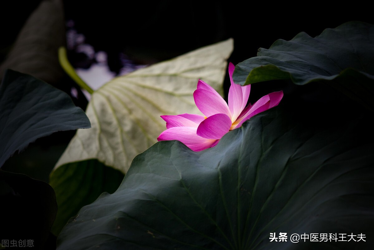 得了ED的人该如何调整好自己的心态，恢复到积极健康的生活状态？