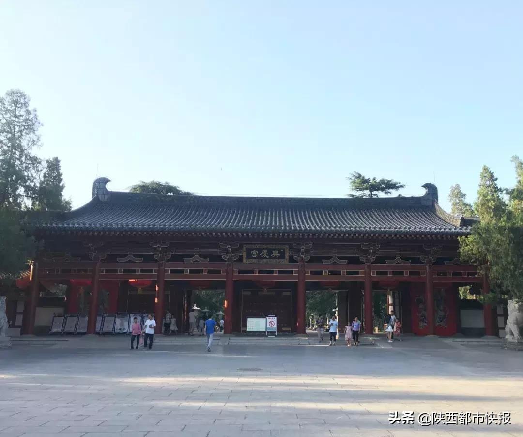 “长安一日”追剧一夏流量长安不如流浪长安