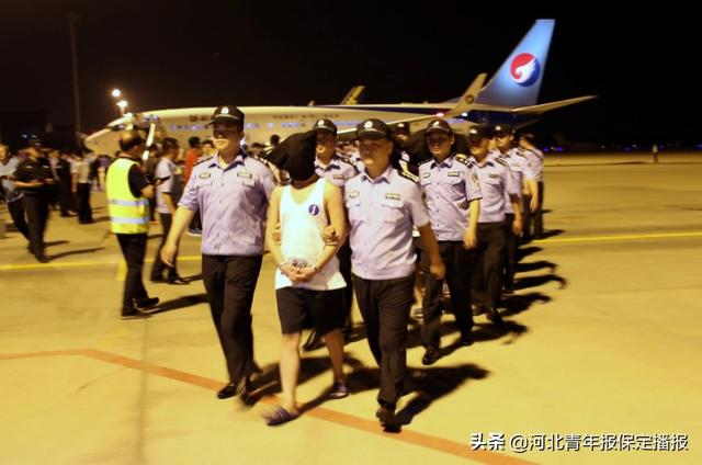 保定诈骗2000万,保定诈骗案立案最新消息