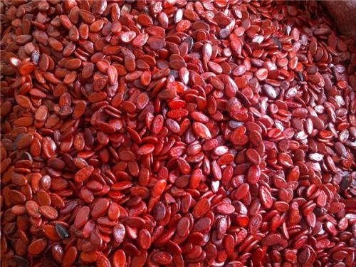 第一次创业赚钱的经验,记录我的第一次创业赚钱经历